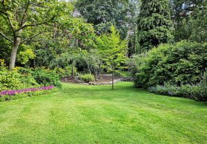 Optimiser l'expérience du jardin à Dommartin-les-Remiremont